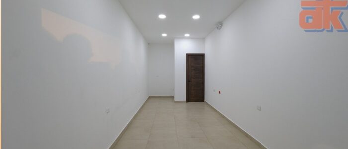 Diapositiva12
