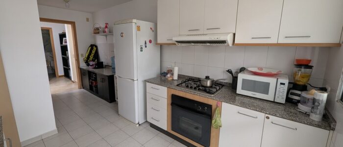 Diapositiva27